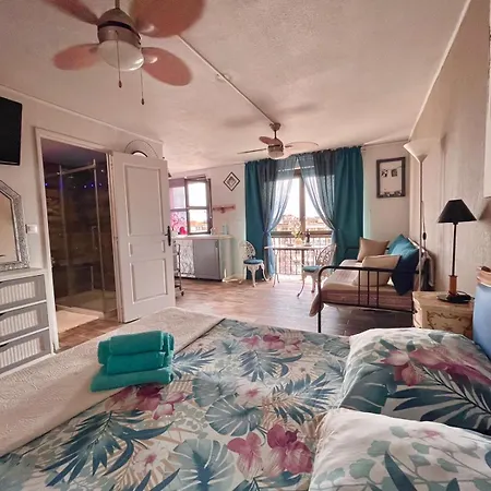 Luxurious Studio In 450 M Of The Sea