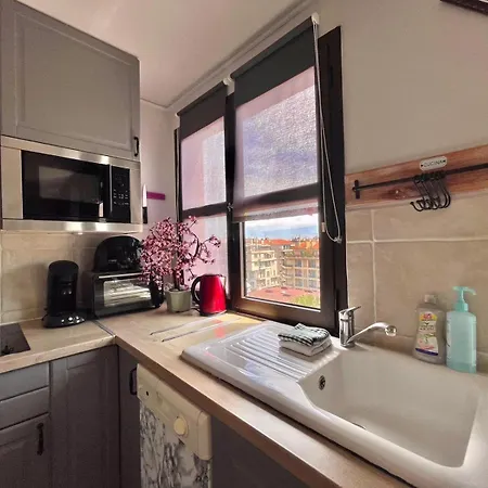 Luxurious Studio In 450 M Of The Sea Appartement Nice