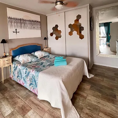 Luxurious Studio In 450 M Of The Sea Nice