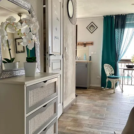 Appartement Luxurious Studio In 450 M Of The Sea Nice